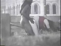 Mega tvirtas porno online Šviesiaplaukė galingas vaikinas ir tapo fuck asilas